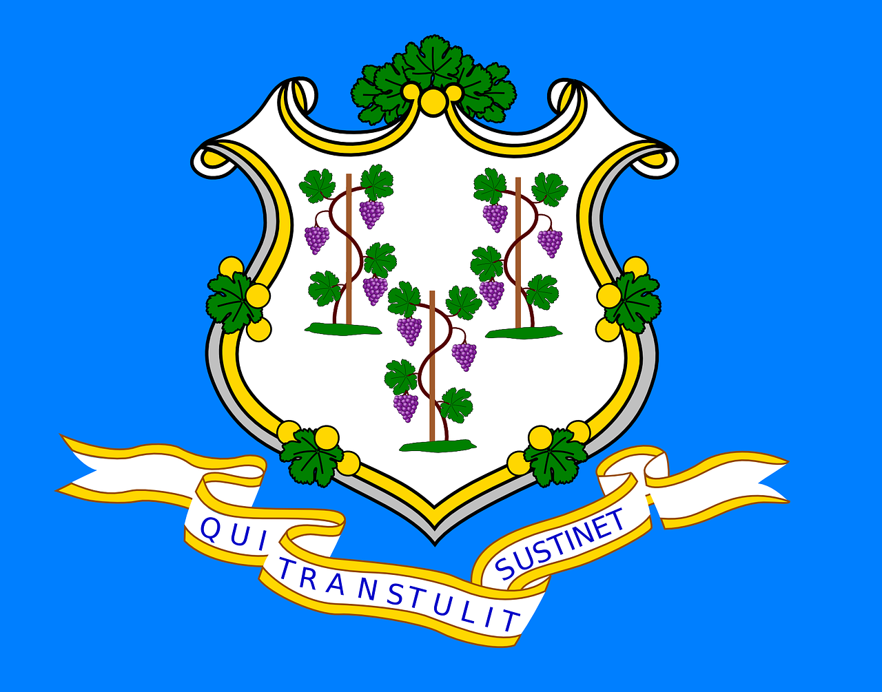 connecticut flagge flagge von connecticut