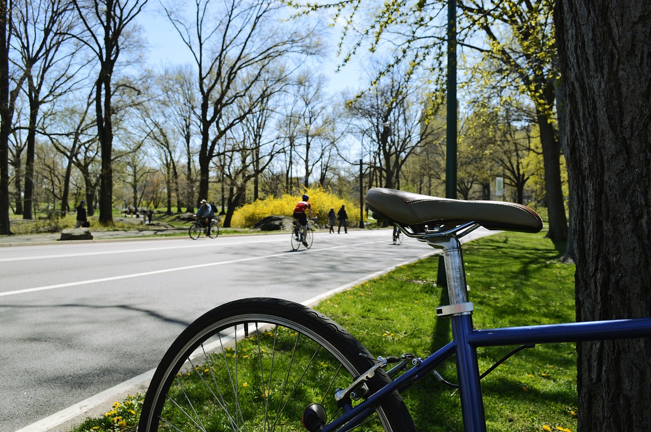 Central Park Die grüne Lunge von New York