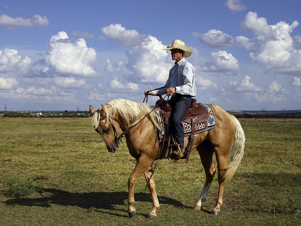 Cowboy: Wie leb(t)en die Cowboys? - USA-Info.net