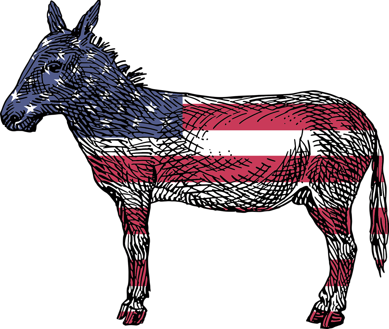 Demokraten Die Demokratische Partei Der Usa