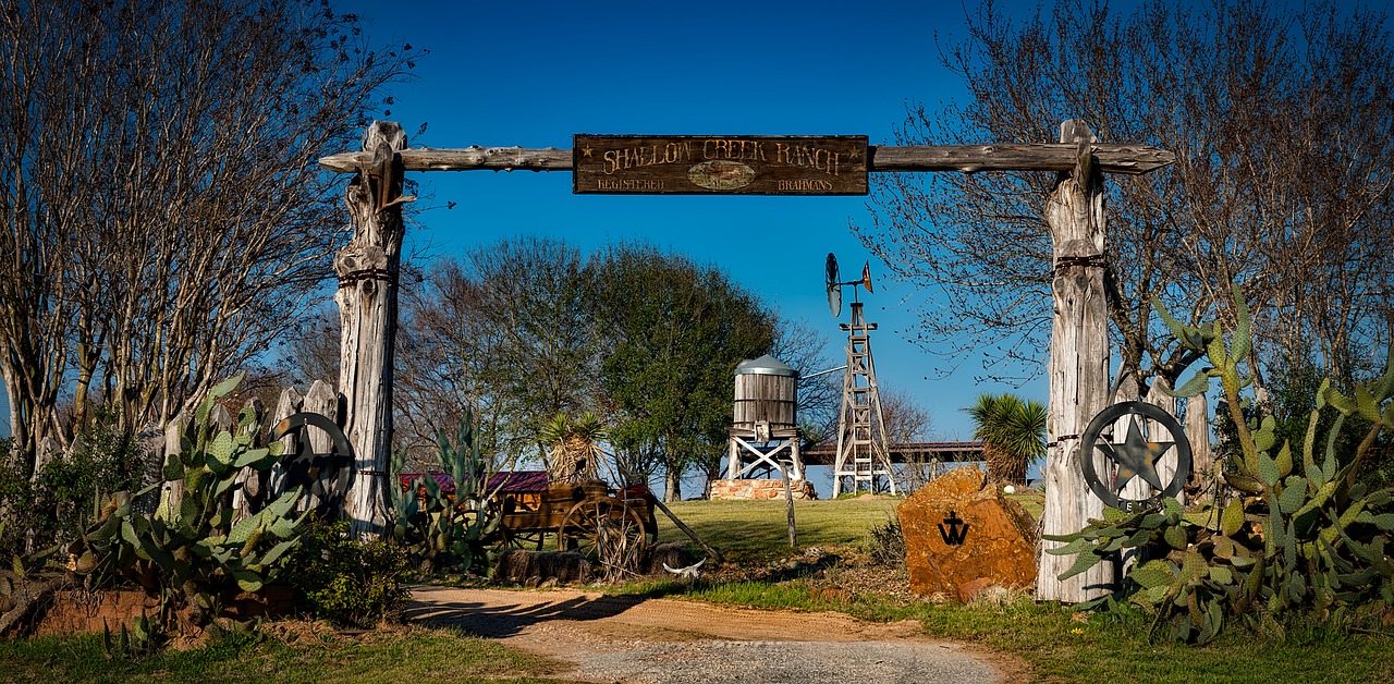 Steckbrief von Texas: Alle Infos zum Lone Star State auf ...